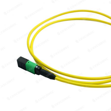kabel penghubung array serat